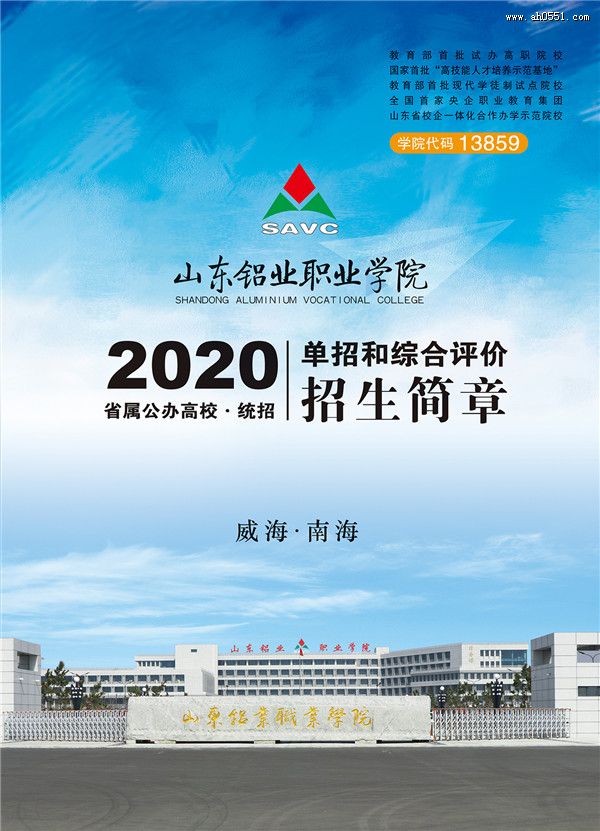 ɽҵְҵѧԺ2020굥Сۺ